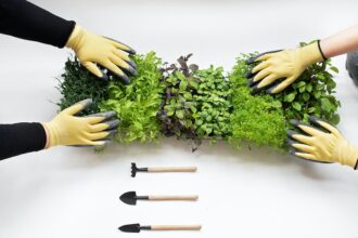 Fresh And Healthy Choices: Do Sprouts Take EBT For Single Mothers?