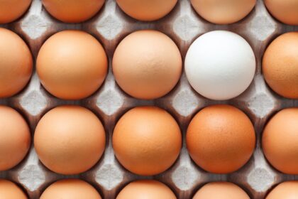 Is Protein Powder Covered By EBT For Single Mothers?